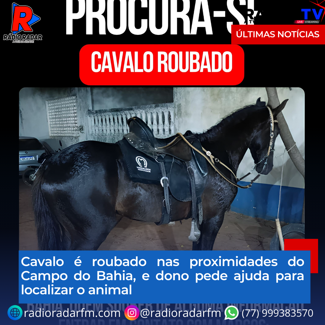 Cavalo é roubado nas proximidades do Campo do Bahia, e dono pede ajuda para localizar o animal