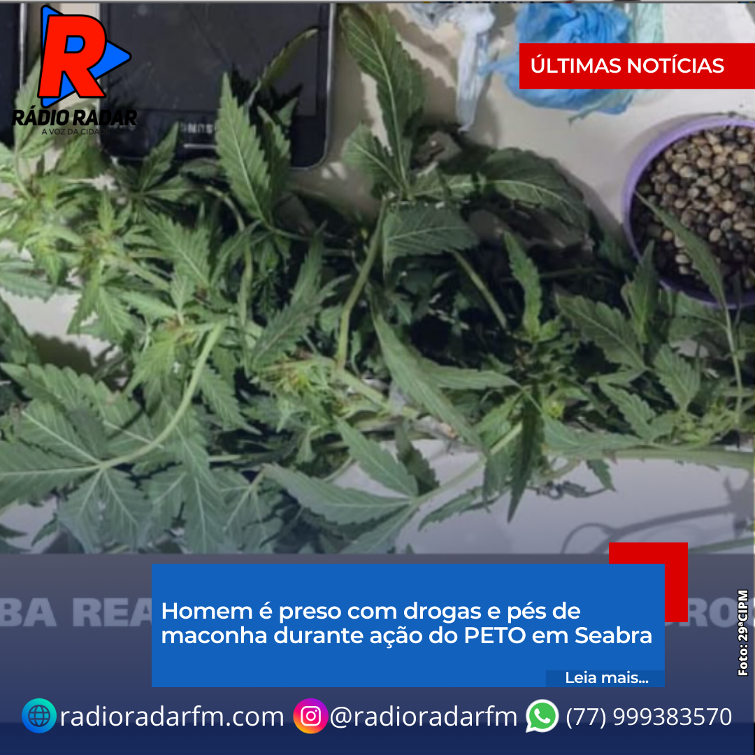 Homem é preso com drogas e pés de maconha durante ação do PETO em Seabra