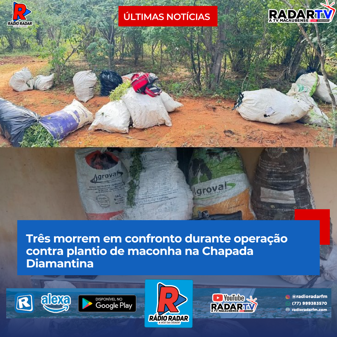 Três morrem em confronto durante operação contra plantio de maconha na Chapada Diamantina