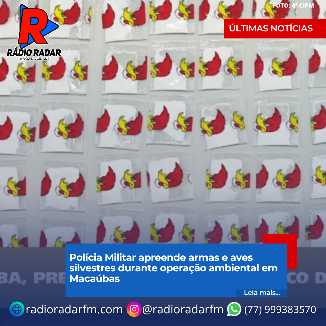 Polícia Militar prende homem por tráfico de drogas na zona rural de Macaúbas